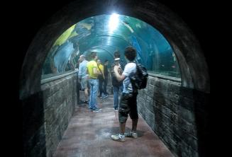 Tanulók az Aquarium alagútjában